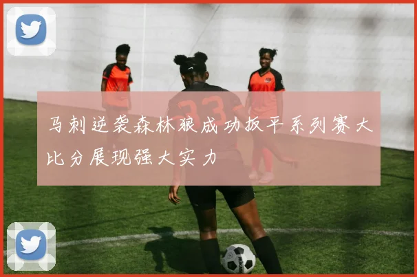 马刺逆袭森林狼成功扳平系列赛大比分展现强大实力